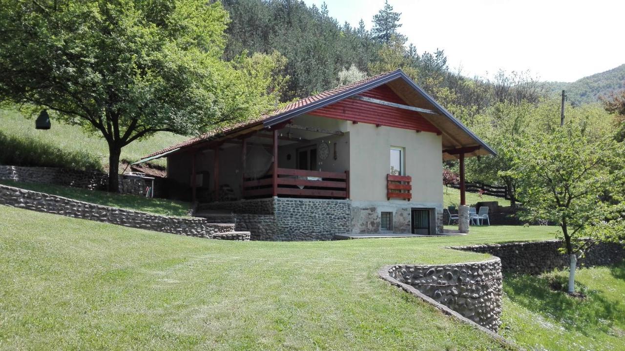 Vikend Kuca Maksimovic Villa Mataruska Banja Eksteriør billede