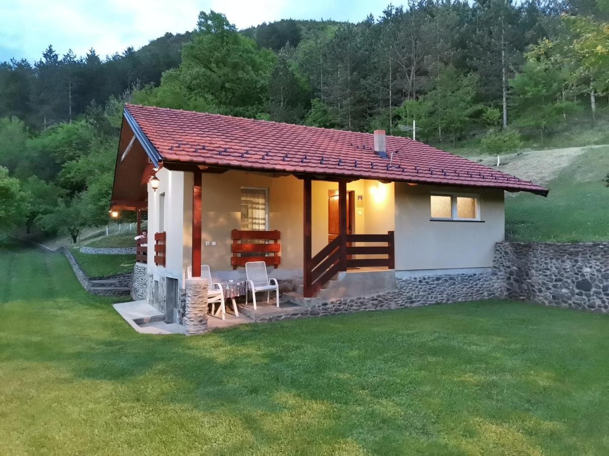 Vikend Kuca Maksimovic Villa Mataruska Banja Eksteriør billede